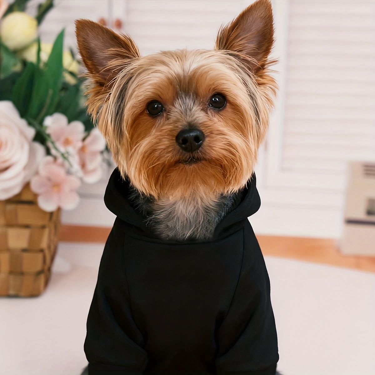 Warm Winter Dog Sweater Jacket - огляд і ціна Jacket Winter Clothing